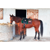 Tapis de selle Grand Woolrider avec sacoches