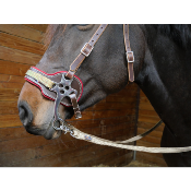 Hackamore en Cuir et Feutre de Laine